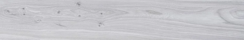 2026_07_18_849439